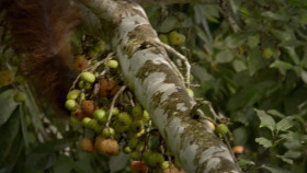 Worlds Greatest Islands S01E02 1080p WEB H264-CBFM EZTV