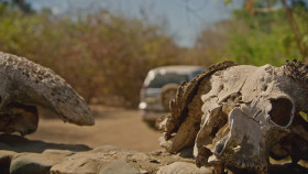 Worlds Most Dangerous Roads S06E02 1080p WEB h264-CODSWALLOP EZTV