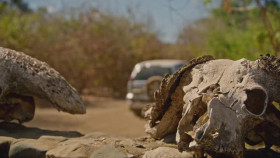 Worlds Most Dangerous Roads S06E02 XviD-AFG EZTV