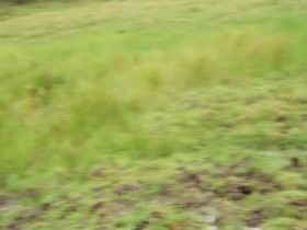 Worlds Toughest Race Eco-Challenge Fiji S01E09 480p x264-mSD EZTV