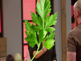 Worst Cooks in America S28E04 480p x264-mSD EZTV