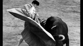 Write Around The World With Richard E Grant S01 WEBRip x264-ION10 EZTV