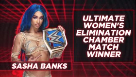 WWE 2021 02 21 The Ultimate Elimination Chamber 1080p WEBRip x264-SPORTDiGiTAL EZTV