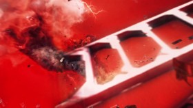 WWE This Week In WWE 2020 12 10 1080p WEB h264-HONOR EZTV