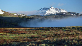 Yellowstone One Fifty S01E03 1080p WEB H264-CBFM EZTV