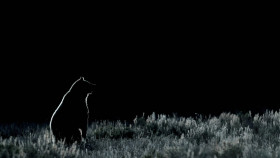 Yellowstone One Fifty S01E04 1080p WEB H264-CBFM EZTV