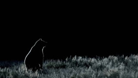 Yellowstone One Fifty S01E04 XviD-AFG EZTV