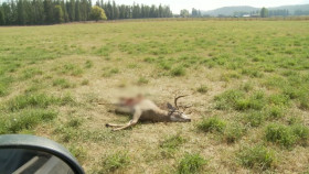 Yellowstone Wardens S06E03 1080p HEVC x265-MeGusta EZTV