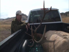 Yellowstone Wardens S06E08 480p x264-mSD EZTV