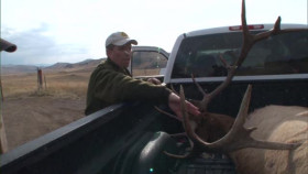 Yellowstone Wardens S06E08 XviD-AFG EZTV