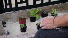 Zombie House Flipping S04E04 Catalpa 720p HEVC x265-MeGusta EZTV