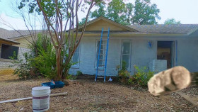 Zombie House Flipping S06E07 XviD-AFG EZTV