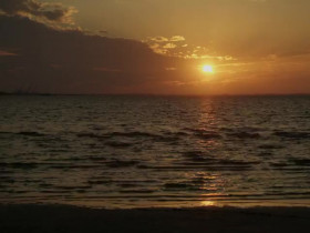 Zombie House Flipping S06E18 480p x264-mSD EZTV