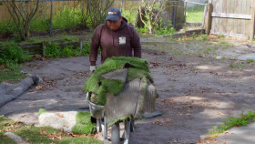 Zombie House Flipping S06E19 1080p WEB h264-EDITH EZTV