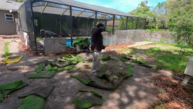 Zombie House Flipping S06E19 720p HEVC x265-MeGusta EZTV